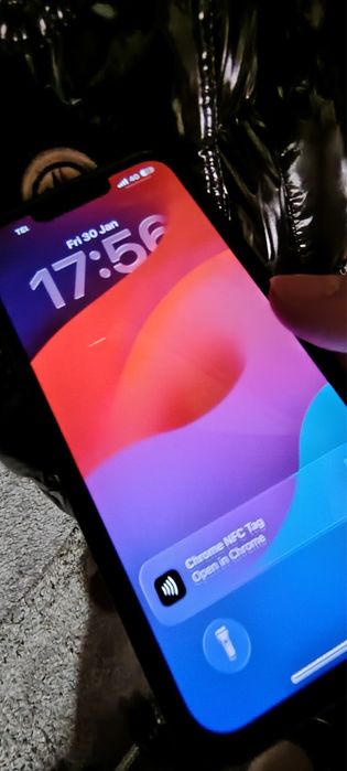 Geaca Moncler Barbati