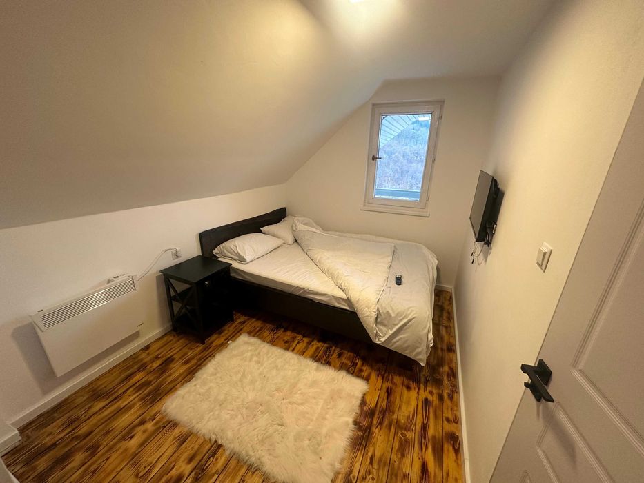 Casa lui Gruia, cabana