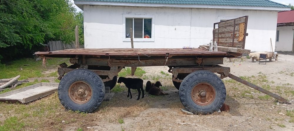 Телешкы жагдайы жаксы