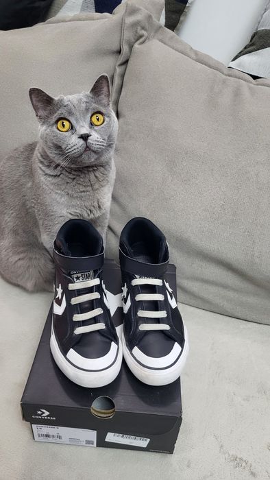 Converse piele masura 33