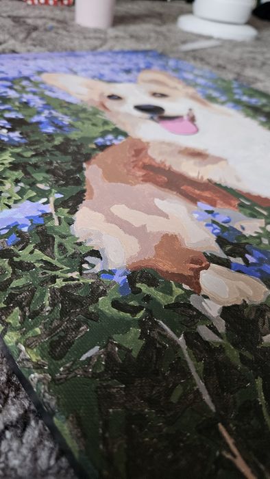 Tablou pictat pe numere - Corgi (40x50cm)