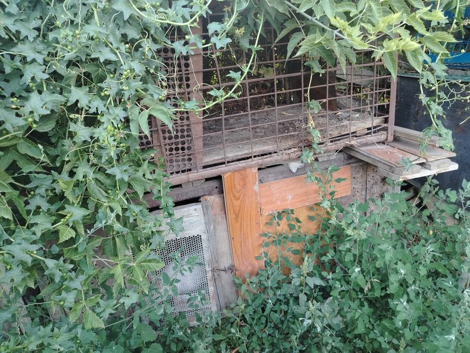 Продам мини ферму кроликов