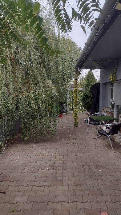 Inchiriez ap la casa separat