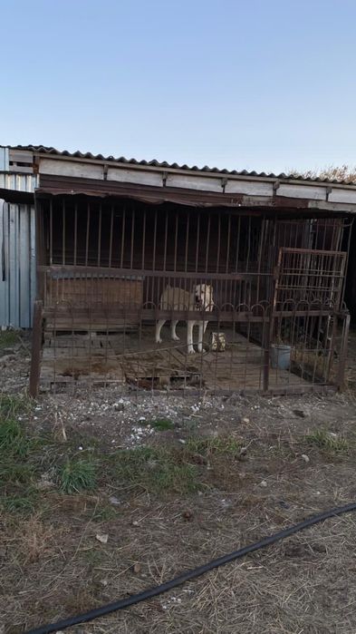 Действующее фермерское хозяйство