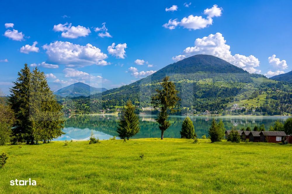 Exclusivitate - Teren intravilan, 10,000 mp - Colibita