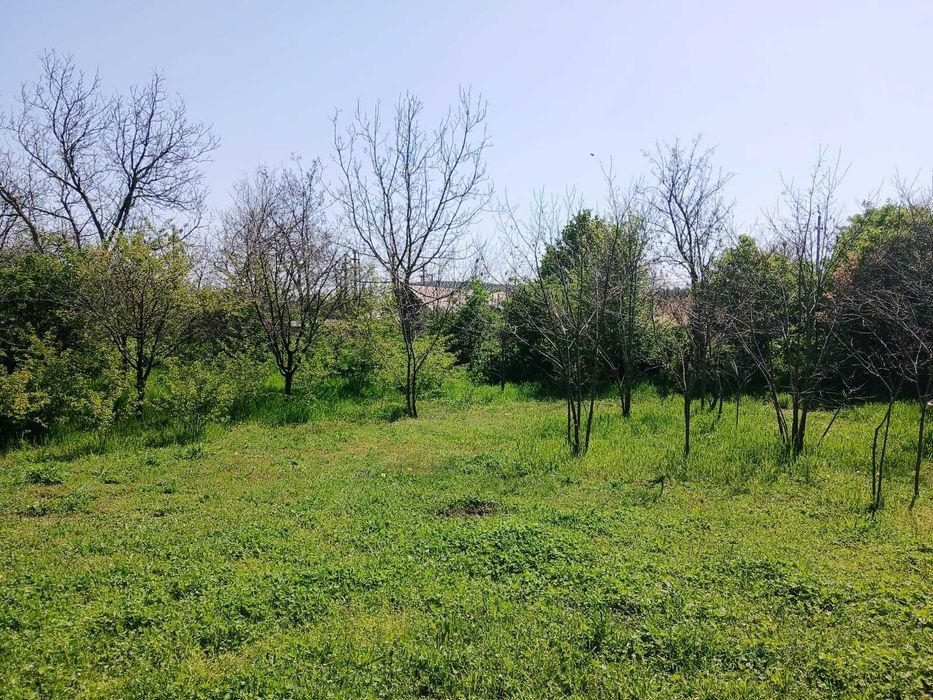 Vila in Barcanesti cu unic proprietar, aproape de orasul Urziceni