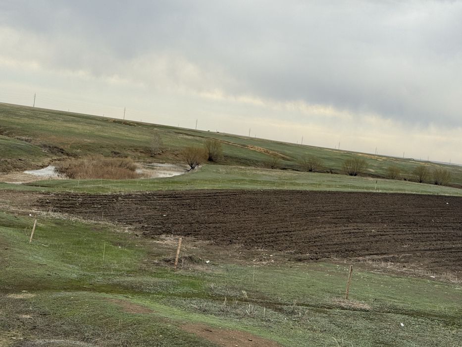 Аренда земли под овощной культурый (картофель,марковь и.т.д Жер жалга