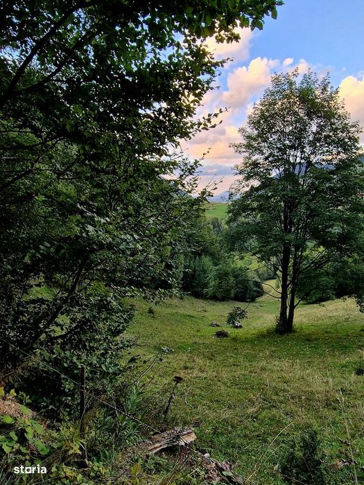 Teren investitie 8635 mp extravilan , Pestera Brasov