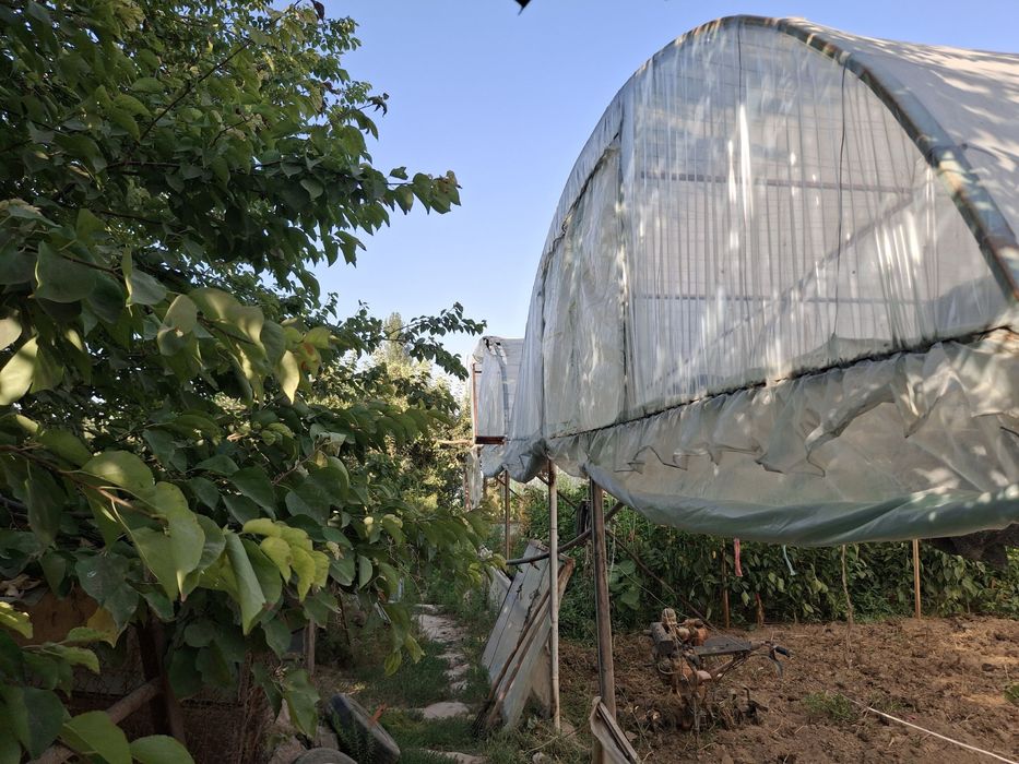 Теплица 14/40 метр