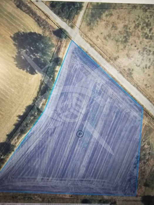 Парцел в село Труд 76650