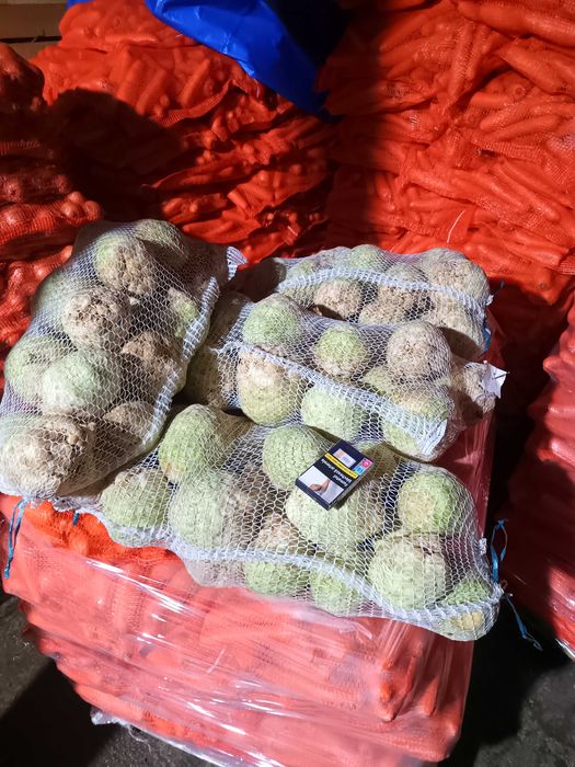 Morcovi ceapă galbenă și rosie țelină