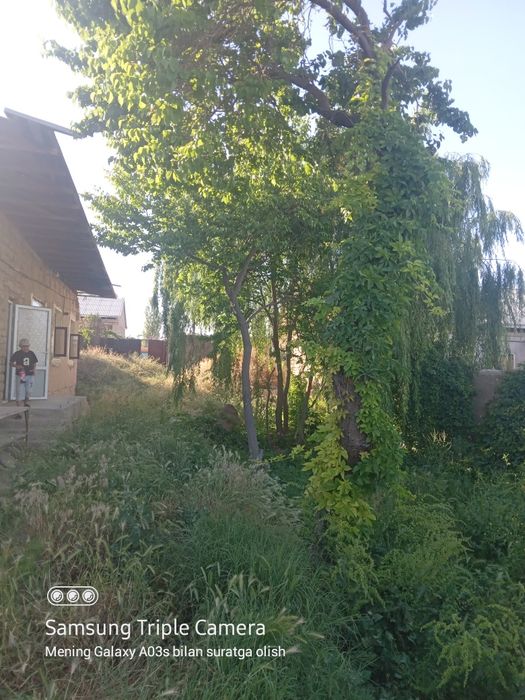 Jizzax Sh.Rashidov tuman. Uch tepa daxasi Yangi hayot maxallasi