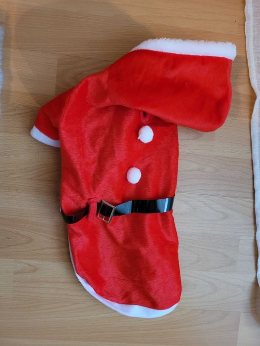 Haine si accesorii catel