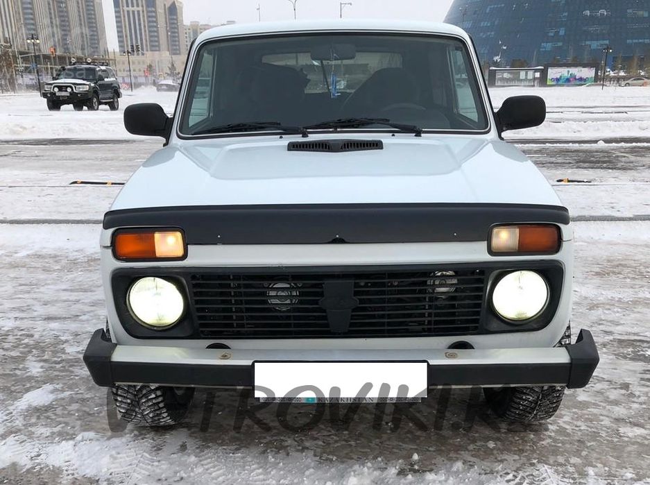 Мухобойка для автомобиля, черного цвета.