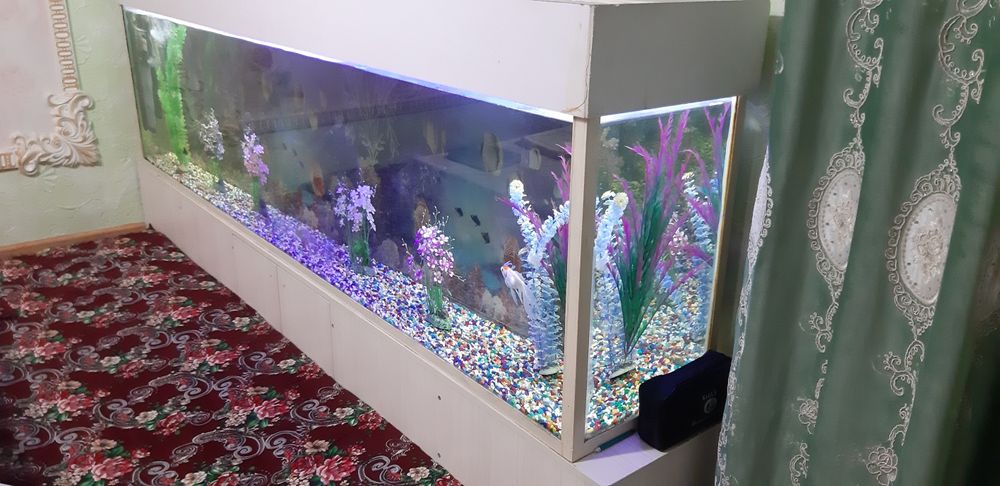 Аквариум 600 литров