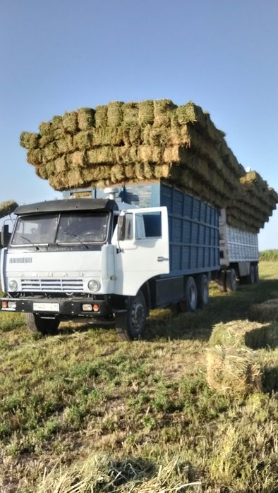 КамАЗ Кызылорда Жанакорган
