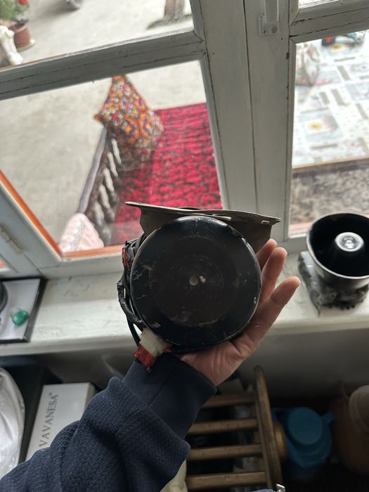 USA orginal qora karne