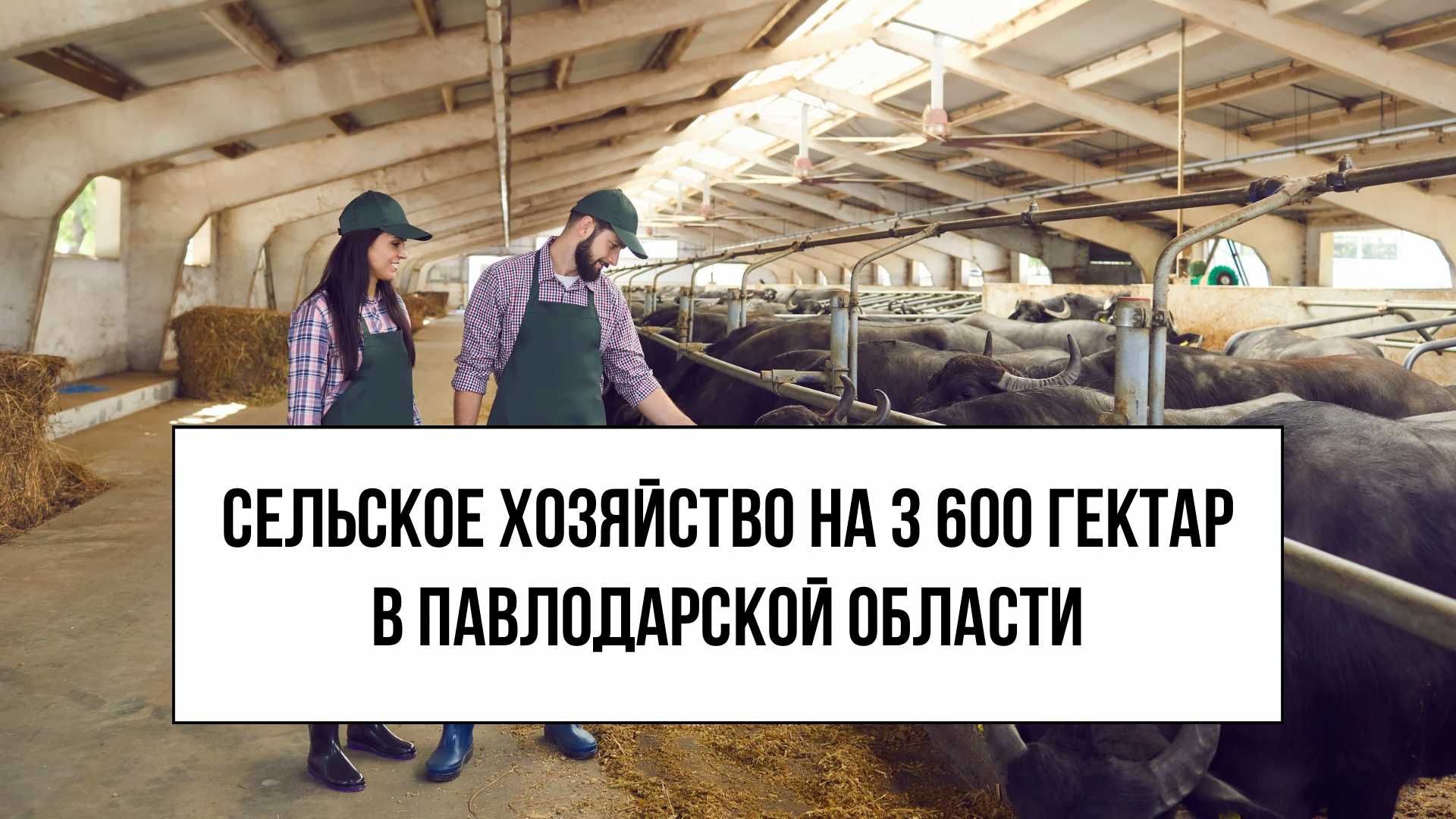 Купить участок Павлодар - продажа земельных участков на OLX.kz Павлодар