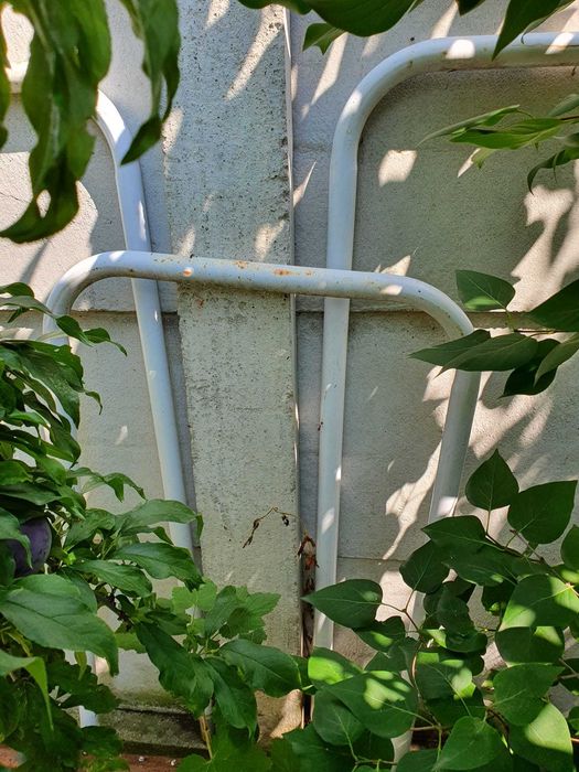 pompa de piscina , scara , tevi laterale