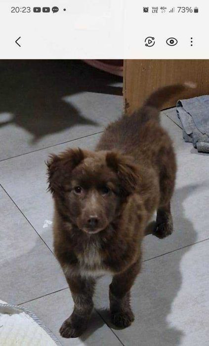 Малышка Берта с человеческими глазами