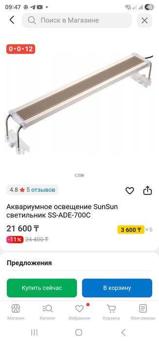 Паллюдариум, флорариум