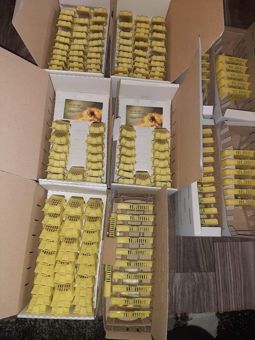 Matci Carnica Selecționate