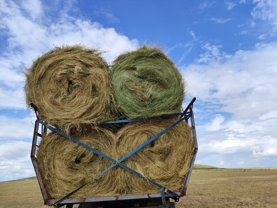 Продается сено в рулонах