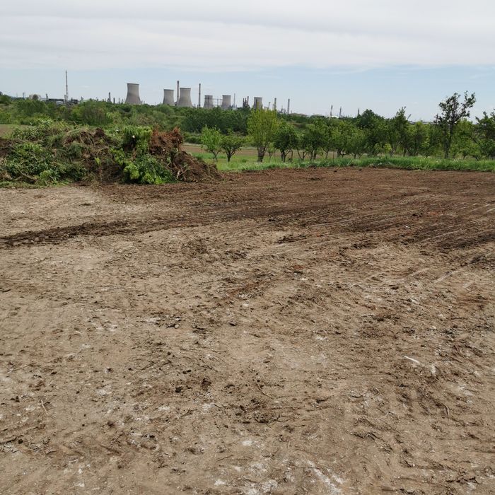 Teren Bradu la 5 km de Pitesti