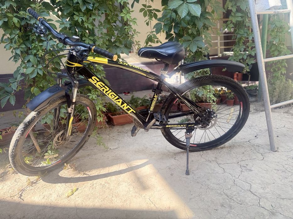 Велосипед Serigiant