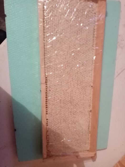 Fagure miere  en gross