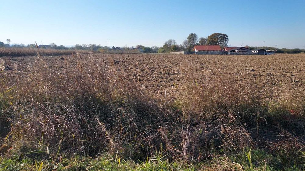 Vand teren intravilan 2150 mp - Bacia