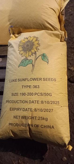 Хитой пистаси/ семечка