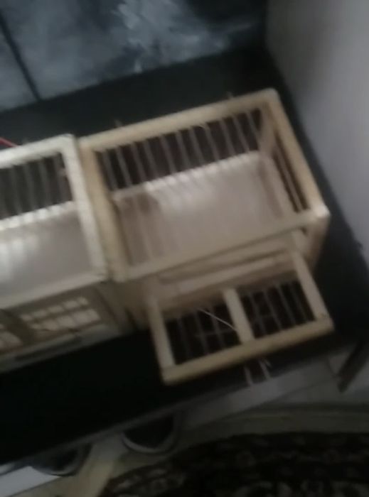 Клетки на ловли птиц