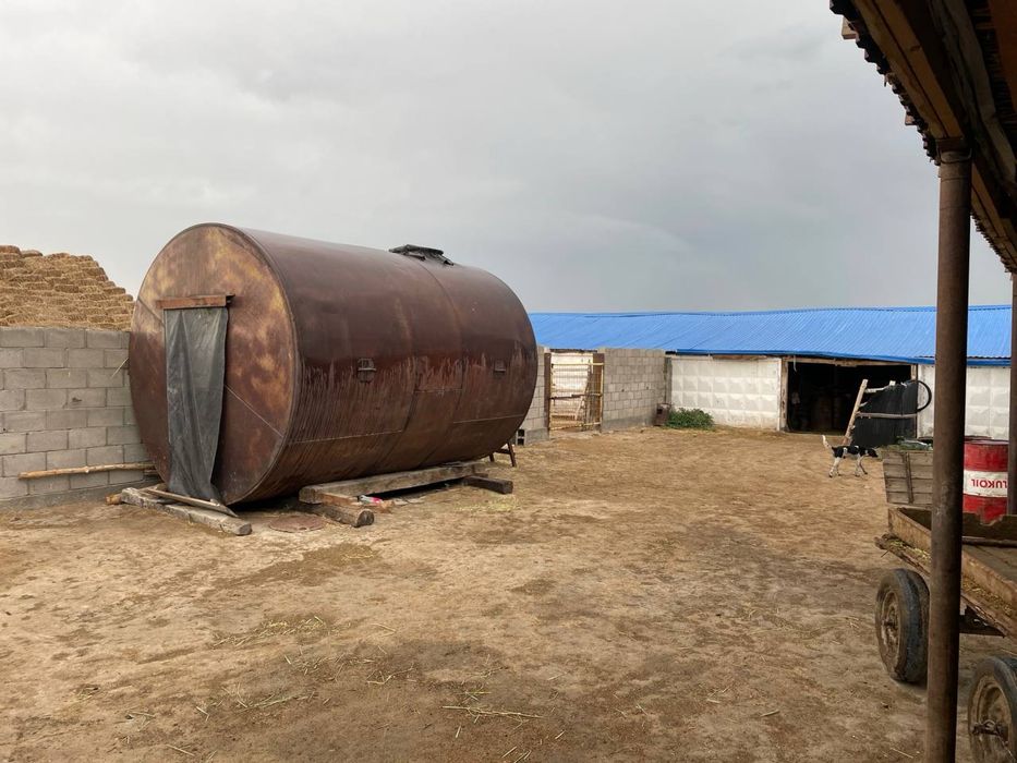 Фазенда / Ферма / КХ / Мал шаруашылығы / Откорм