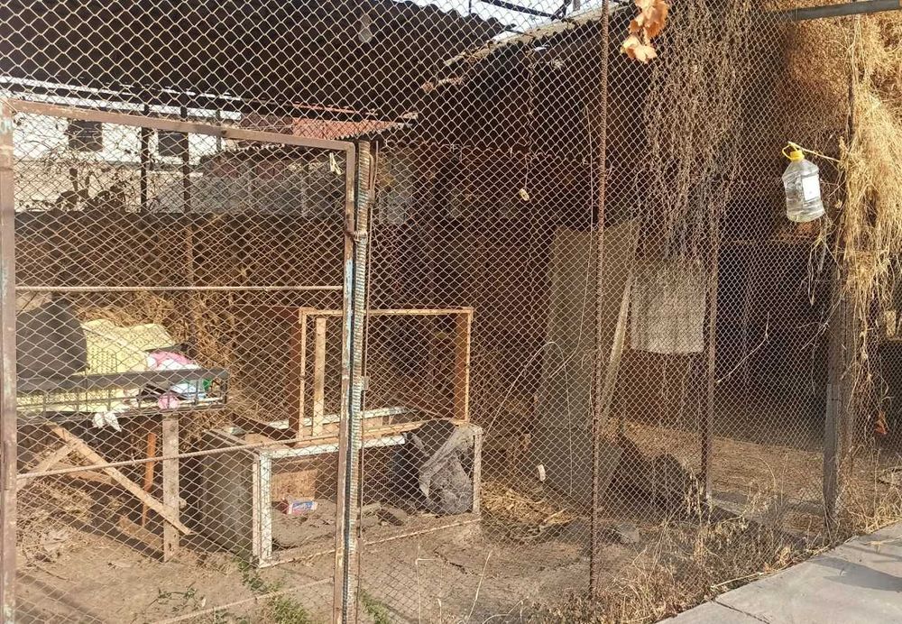 Продается дом в области