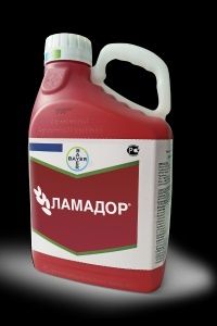 Протравитель семян (фунгицидный)