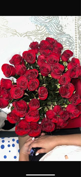 Свежий гул 41шт