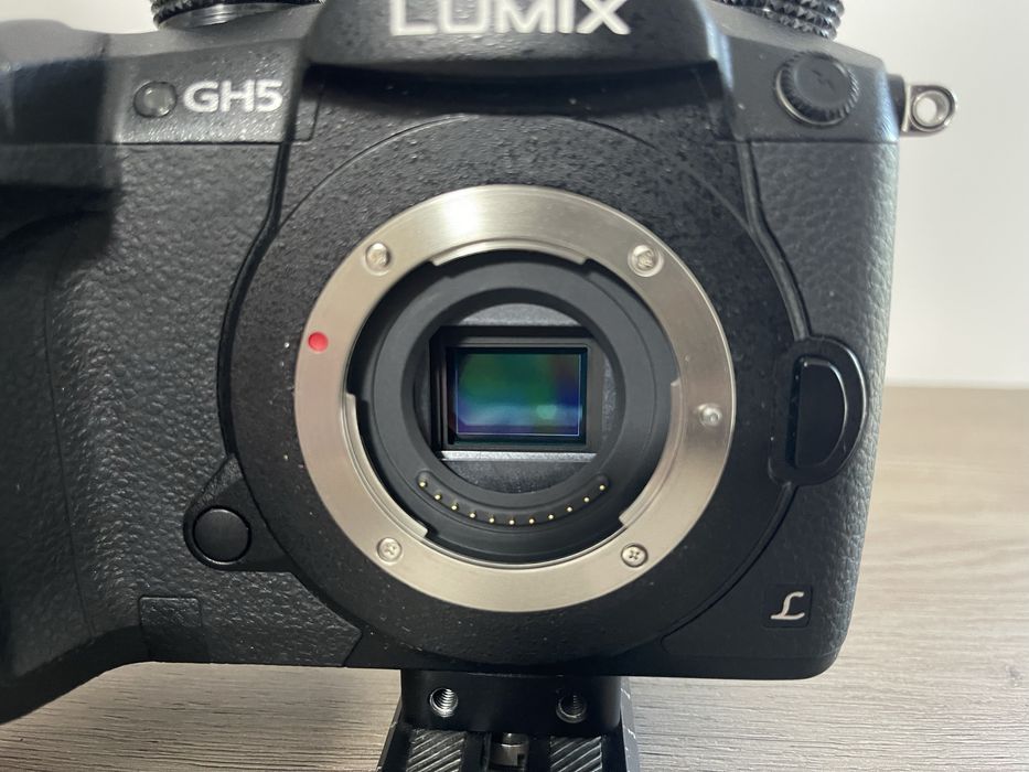 Panasonic lumix gh5