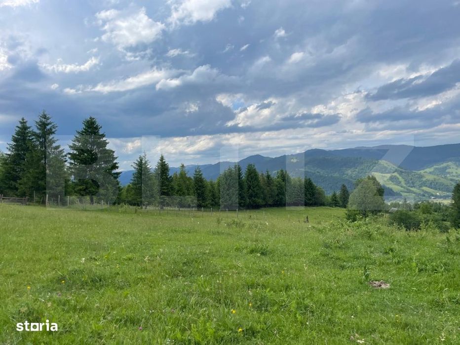 Teren de vanzare, 2 ha - Campulung Moldovenesc, zona Sandru
