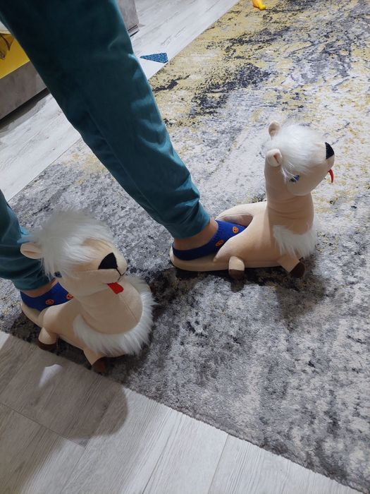 Papuci de casa, animalute, noi