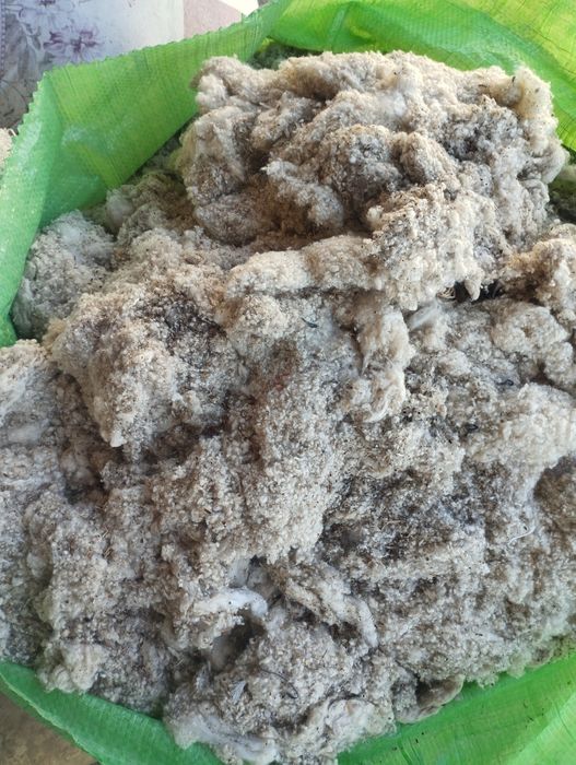 Пахта атхоти сотилади