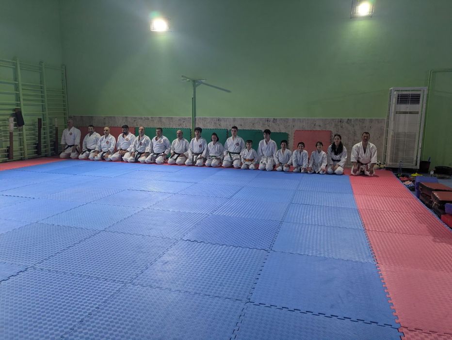 Тренировки Шотокан карате-до