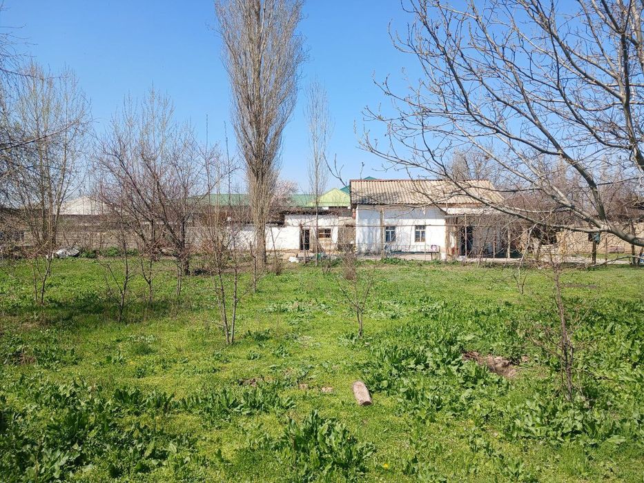 yer sotiladi 13 sotix