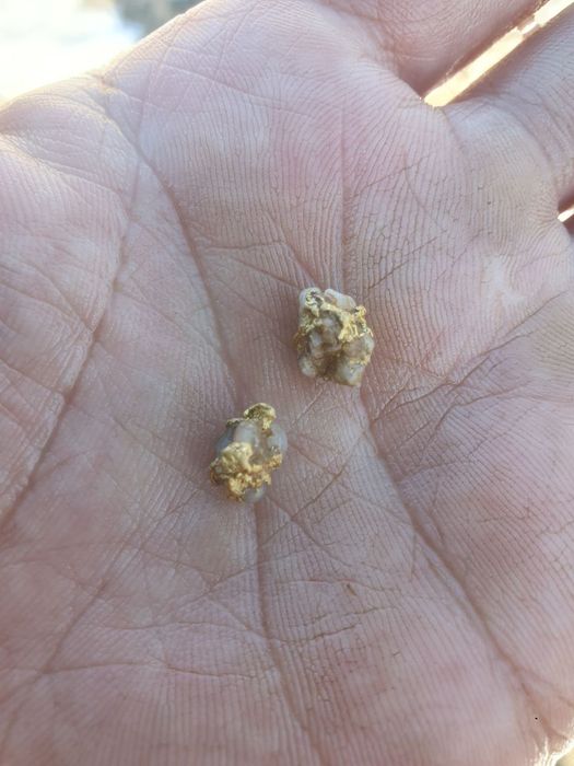 Hp orx метала детектор франция