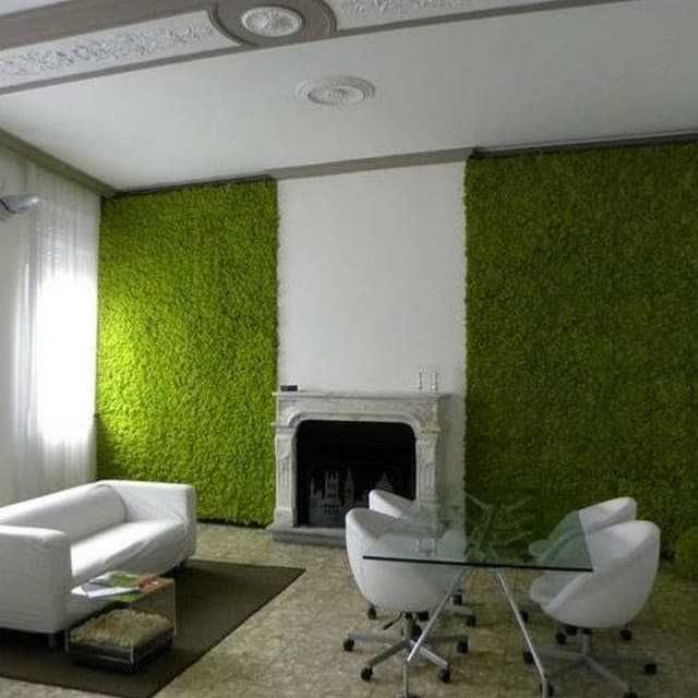 Газон сотилади. Биринчи кол, оптом нархда. хар кандай хачмда