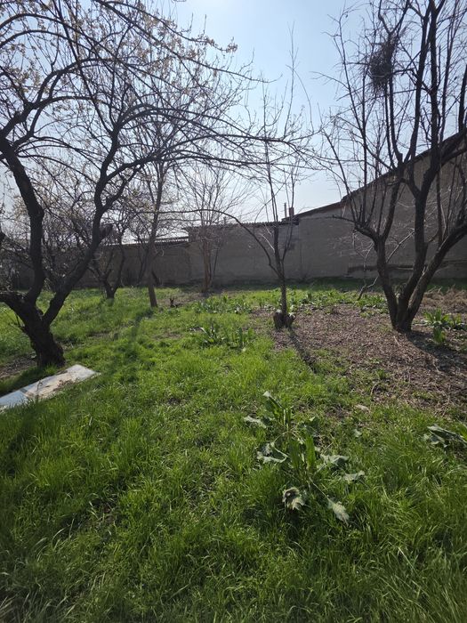 Кибрай тумани Қипчоқ маҳалласида 7 сотихли ер участкаси сотилади.