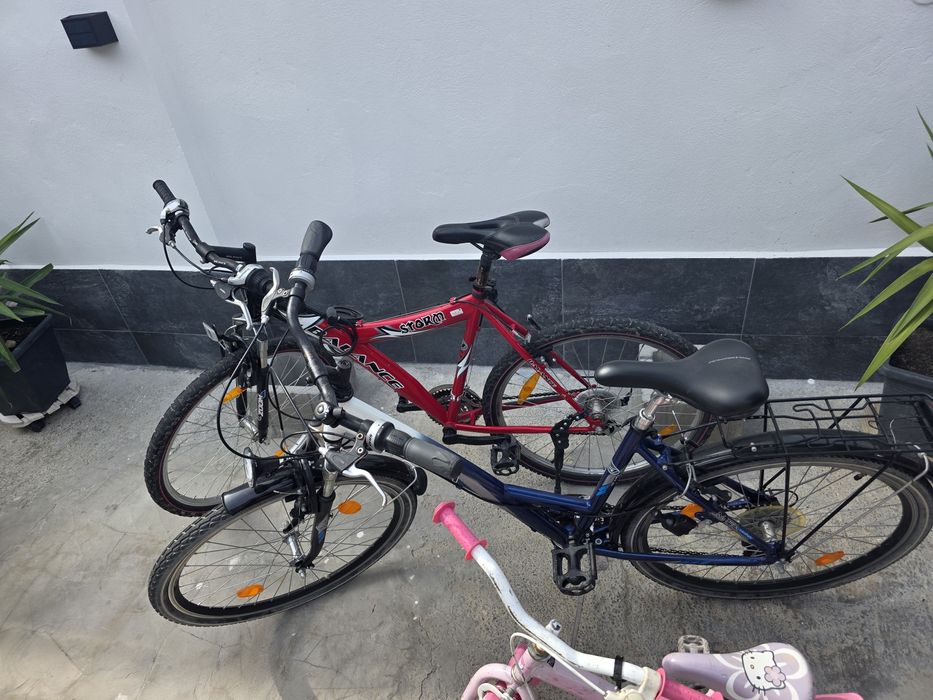 Bicicleta diferite modele