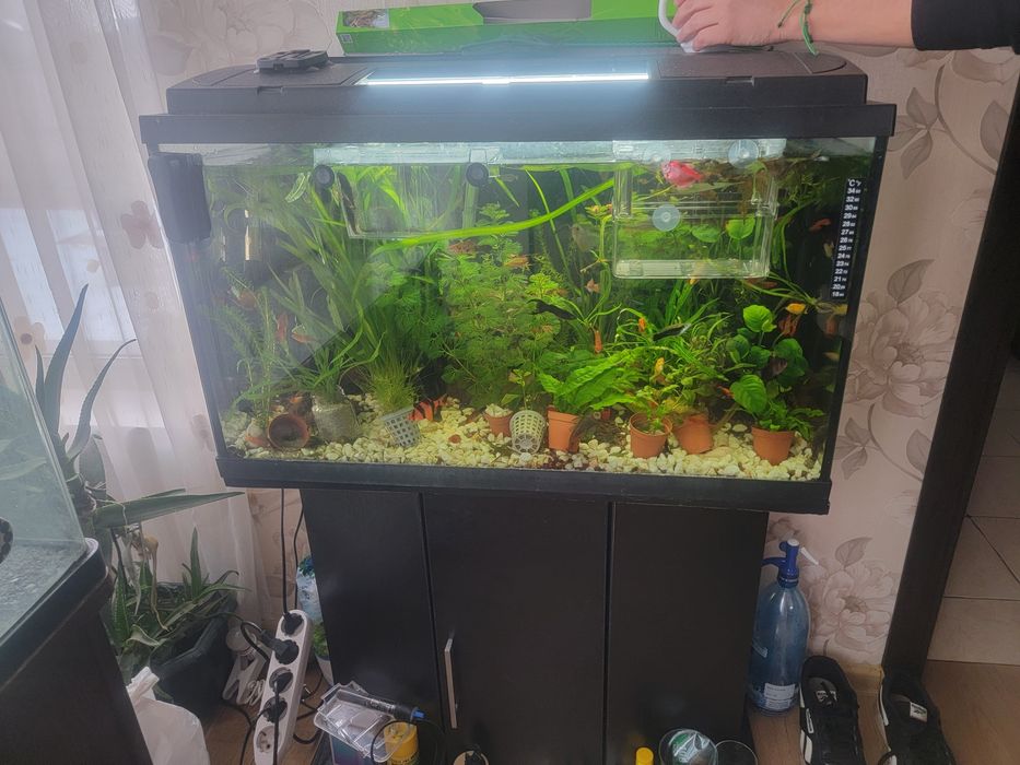 Vand acvariu complect echipat
