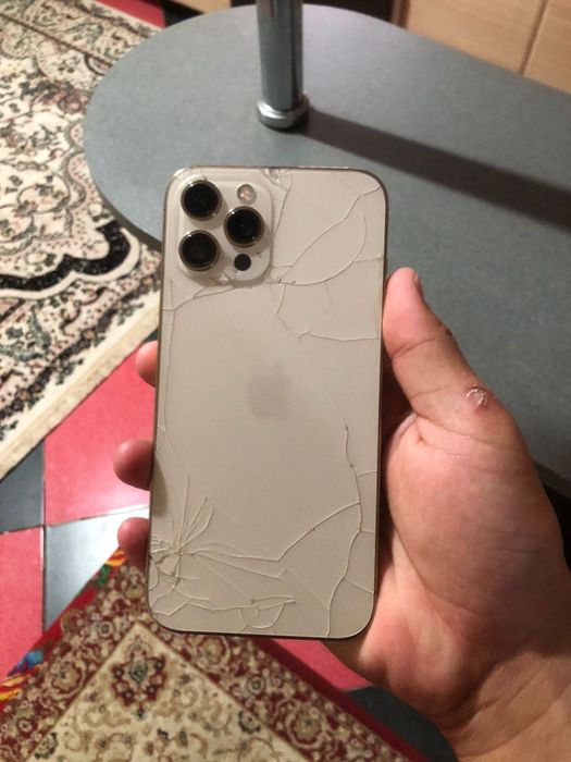 iPhone 12 pro max