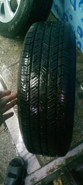 Жентра родной диски